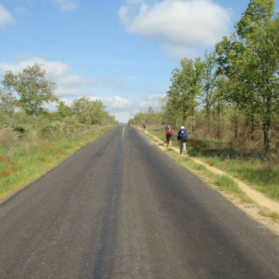 Hospital de Orbigo - Sarria