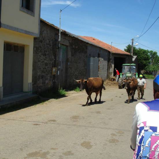Sarria - Santiago de Compostella