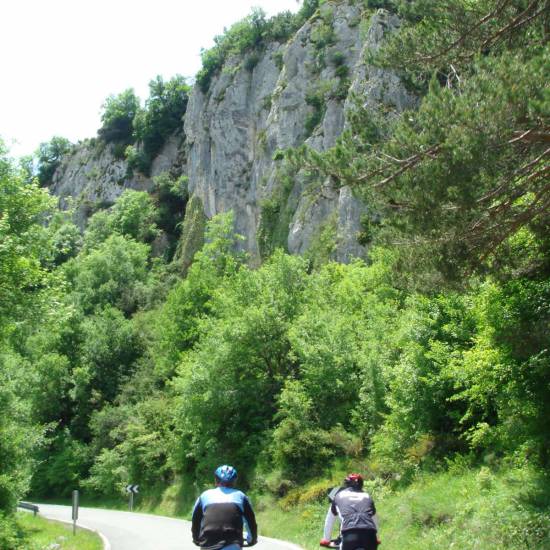 Moustey - Puenta La Reina